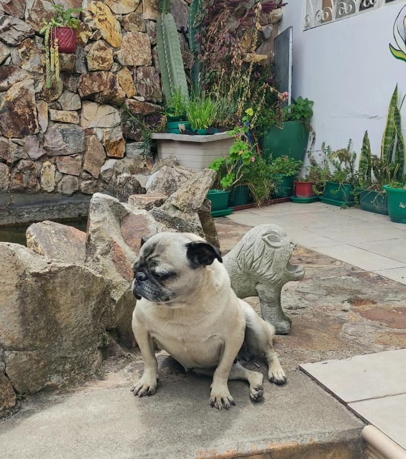 Casa Bella Vista Panzió Cuenca Kültér fotó